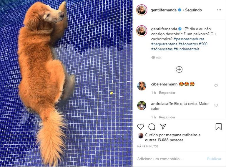Fernanda Gentil diverte internautas com piada sobre seu pet