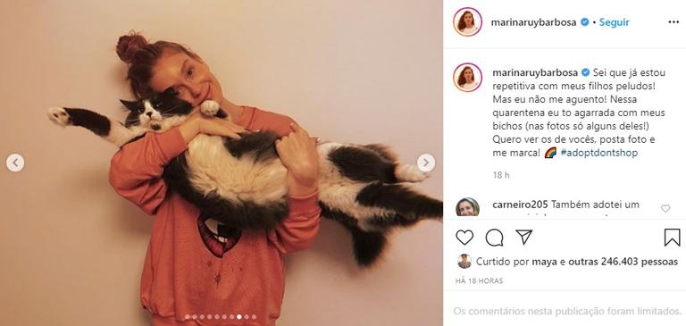 Marina Ruy Barbosa revela que está grudada com seus gatinhos nessa quarentena