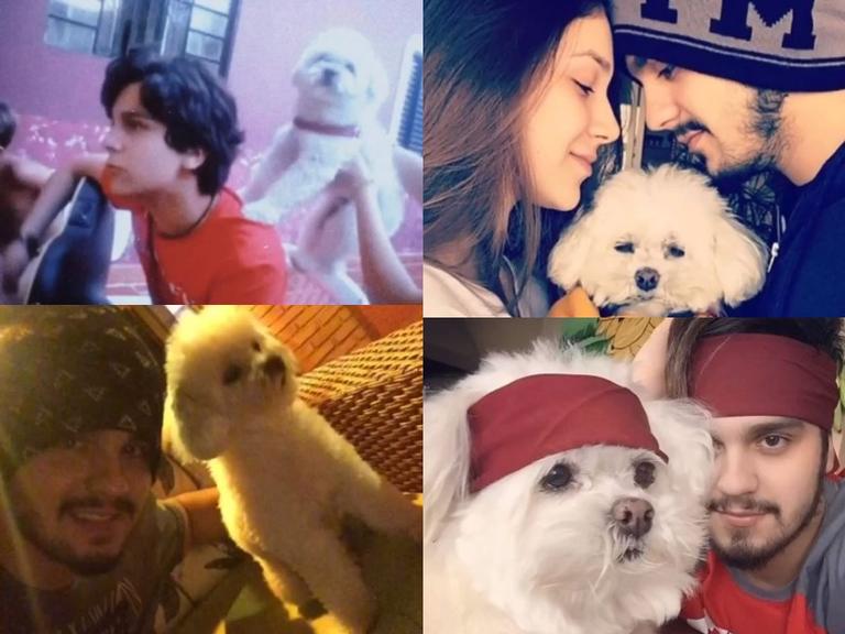 Luan Santana emociona seus seguidores ao compartilhar linda mensagem de despedida para seu cachorro