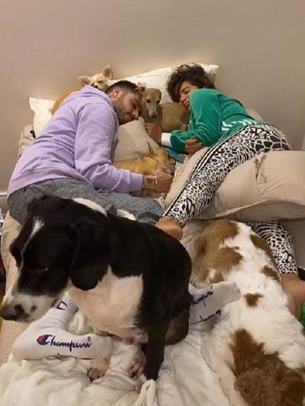 Anitta e Gui Araújo surgem juntos rodeados de cachorrinhos