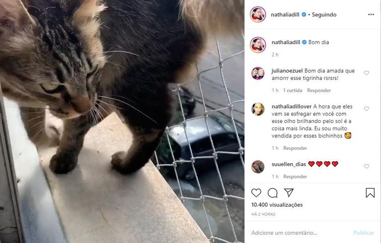 Nathalia Dill encanta a web ao fazer vídeo fofo de sua gata