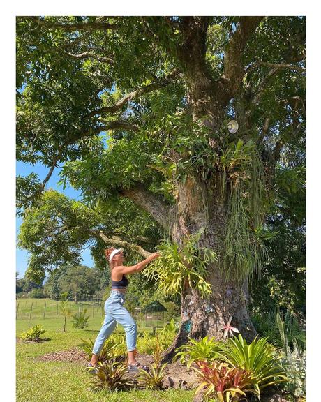 Juliana Paes surge em clique deslumbrante em meio a natureza
