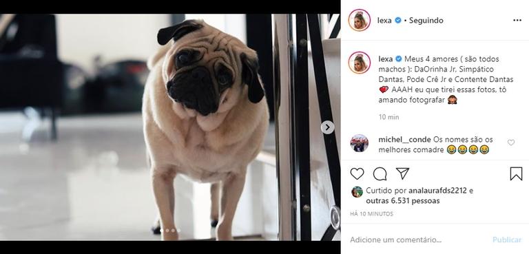 Lexa apresenta seus cachorros para os internautas e encanta