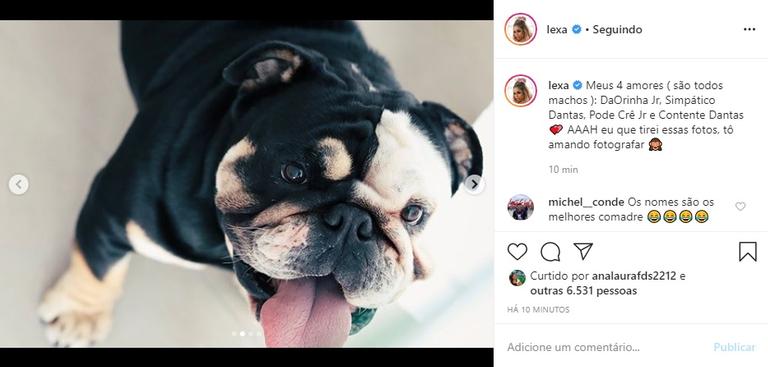 Lexa apresenta seus cachorros para os internautas e encanta