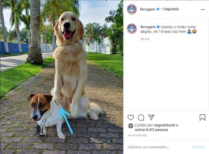 Ferrugem registra momento engraçado de seus cães