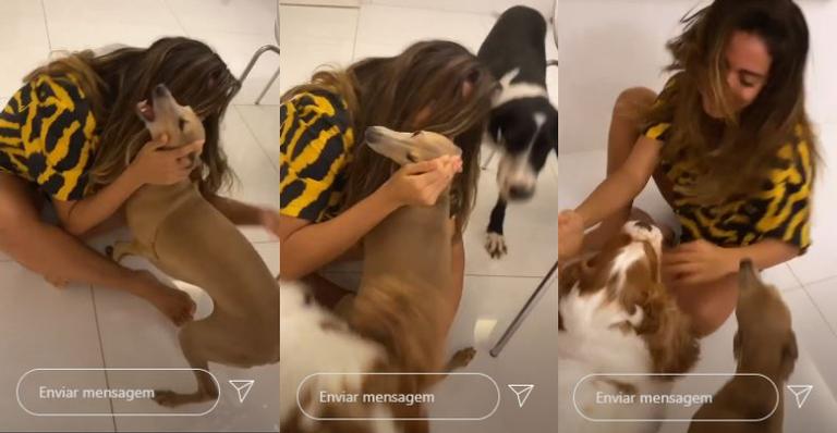 Anitta volta para o Rio e é recebida com alegria pelos cães