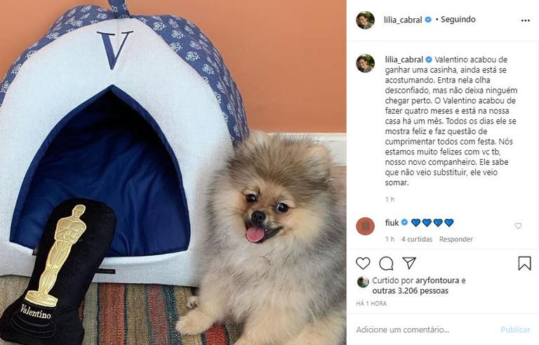 Lilia Cabral celebra um mês ao lado de seu novo cãozinho