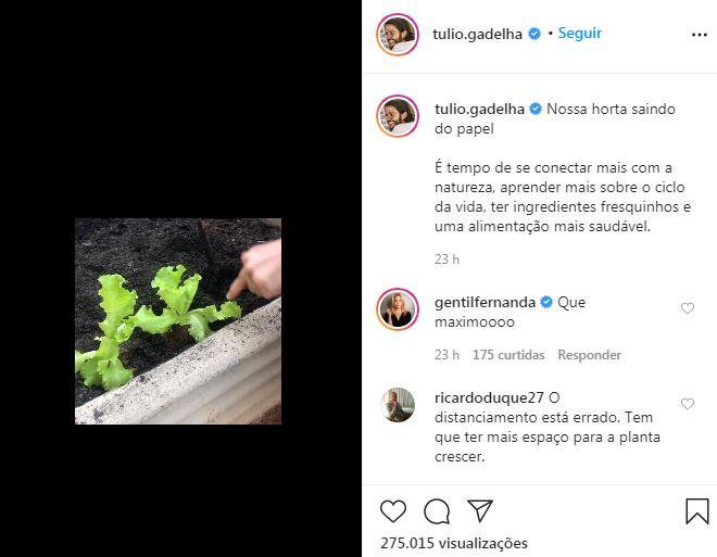 Túlio Gadêlha mostra horta criada com Fátima Bernardes