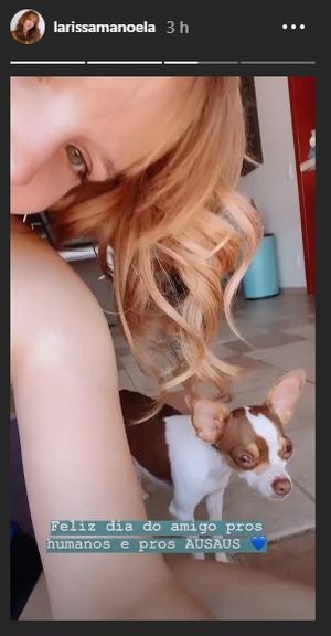 No Dia do Amigo, Larissa Manoela posta vídeo com cachorro