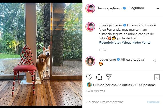 Bruno Gagliasso posta foto dos cachorros e encanta as redes