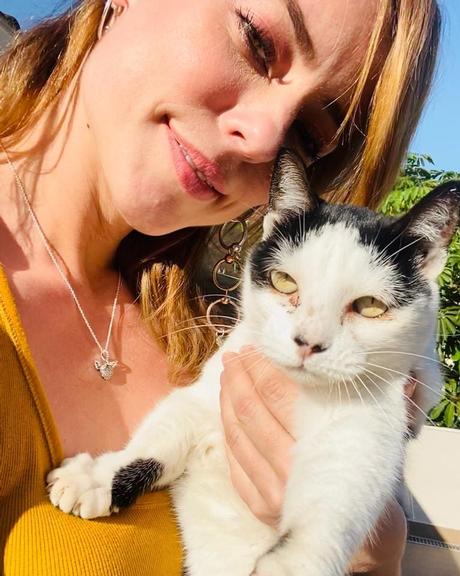 Paolla Oliveira esbanja seu amor por animais ao exibir lindo gatinho de estimação