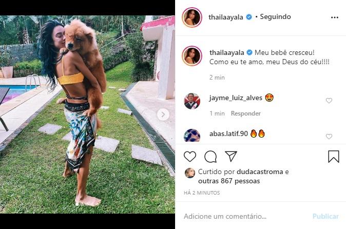 Thaila Ayala derrete a web ao surgir segurando seu cachorro