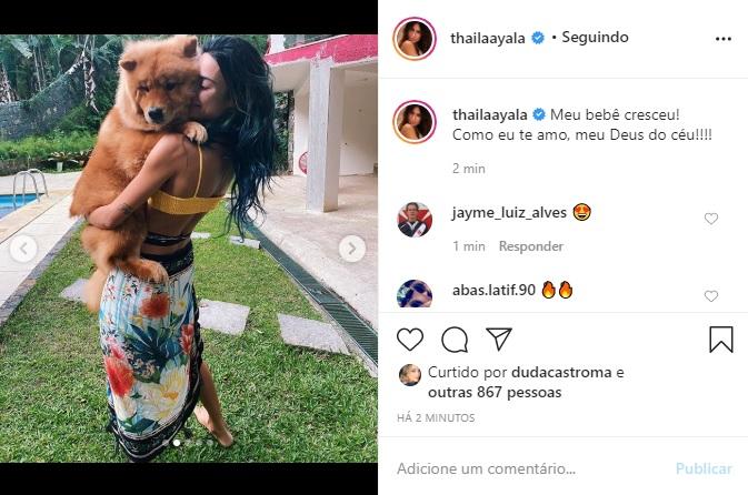 Thaila Ayala derrete a web ao surgir segurando seu cachorro