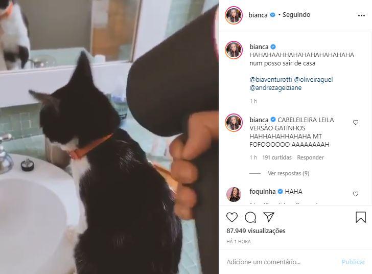 Bianaca Andrade reproduz meme do famoso na web com seu gatos