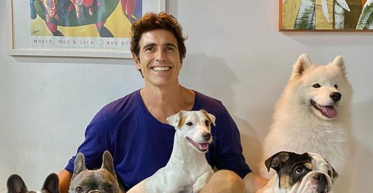 Reynaldo Gianecchini se derrete ao compartilhar lindos registros de seus cachorrinhos de estimação