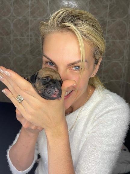 Ana Hickmann mostra ensaio 'pet born' com filhotes de cães