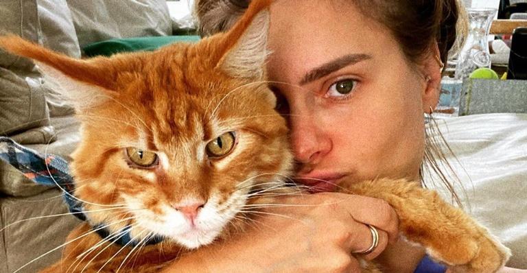 Carolina Dieckmann mostra momento de carinho com gato de estimação: ''Coisa mais linda''