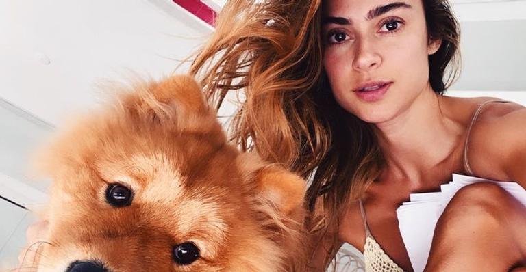 Thaila Ayala posa coladinha com seu cachorrinho e se derrete: ''Muito amor envolvido''