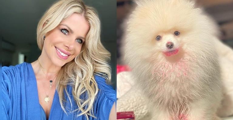 Karina Bacchi mostra travessura do seu cachorro após roubar tinta facial: ''Amanheceu pink''