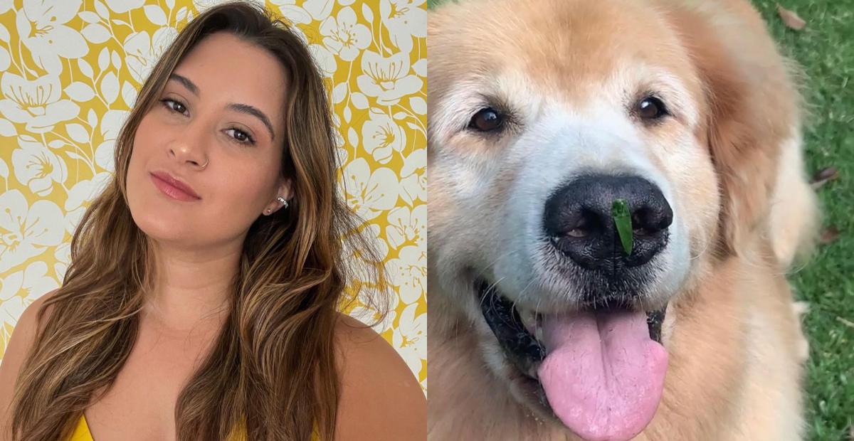 Bia Bonemer lamenta a morte de seu cãozinho: ''Meu sonho de infância e o amor da minha vida''