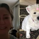 Aos prantos, Guta Stresser comunica aos fãs morte de sua cachorrinha - Reprodução/Instagram