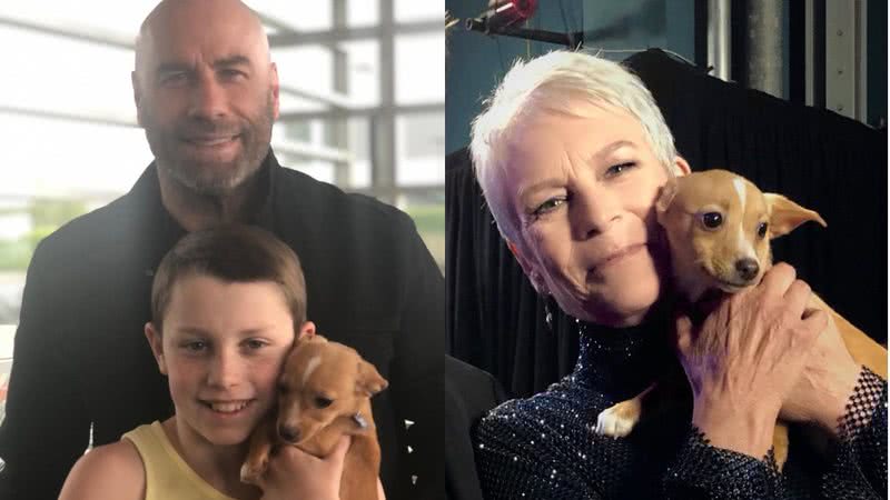 Filho de John Travolta adota cachorrinho de tributo do Oscar para Betty White - Reprodução/Instagram