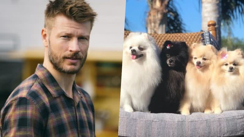 Rodrigo Hilbert e outras celebridades se encantam pela belezad os cãezinhos da raça Spitz Alemão - Foto/Instagram