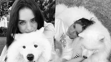 Rafa Kalimann presta homenagem após morte de um de seus cachorrinhos - Reprodução/Instagram