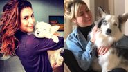Fernanda Paes Leme se despede de cachorrinho de estimação com emocionante homenagem - Reprodução/Instagram