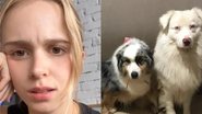 Isabella Scherer e seus cães - Foto: Reprodução/Instagram