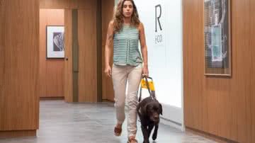 Camila Alves lamenta morte do cão guia Astor - Foto: Reprodução/Globo