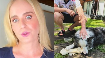 Angelica lamenta perda de cachorrinho da família - Reprodução/Instagram