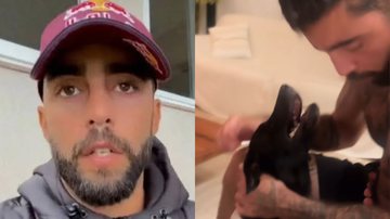 Pedro Scooby fala sobre cachorro resgatado no RS - Reprodução/Instagram