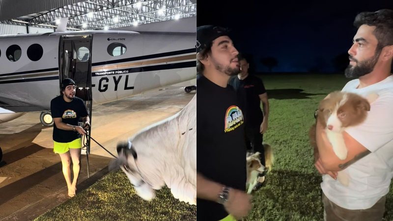 Nattan recupera pets após sequestro e tenta levar vacas dos amigos - Reprodução/Instagram