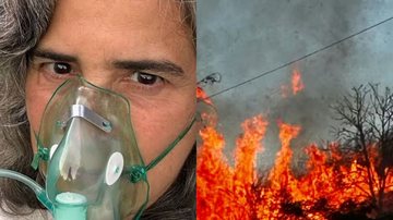 Lúcia Veríssimo faz relato forte após ter fazenda invadida e devastada por incêndio - Reprodução/Instagram