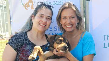 Luisa Mell retomou Instituto para ajudar animais resgatados no Rio Grande do Sul - Foto: Divulgação