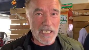 Aposentada sofre golpe com falso perfil de Arnold Schwarzenegger - Reprodução/Instagram