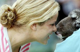 Kim Clijsters acaricia coala... - Foto: Reuters