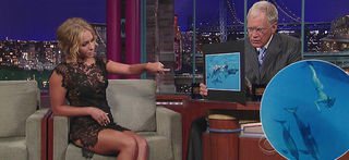 A atriz Hayden Panettiere conta para o apresentador David Letterman sua experiência de mergulhar com golfinhos - Reprodução