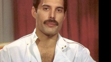 O cantor Freddie Mercury - Reprodução