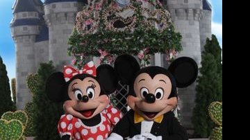 Mickey e Minnie - MARCOS ROSA / SELMY YASSUDA