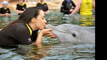 Teresa Morrone nada com golfinhos em Orlando - SAMUEL LEVINSON