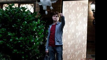 Harry Potter (Daniel Radcliffe) e Edwiges - Divulgação