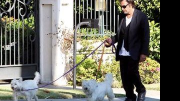 Al Pacino passeia com os seus pets - QUEEN