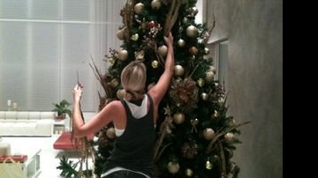 Ana Hickmann já montou a árvore de Natal