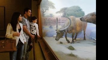 Com o primogênito, o casal observa réplicas dos animais pré-históricos no Museu Americano de História Natural. - FOTOS: SELMY YASSUDA