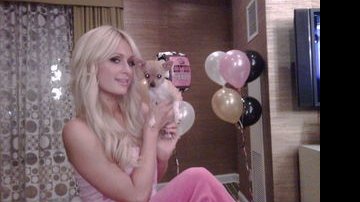 Paris Hilton e seu cãozinho Peter Pan - Reprodução / Twitter