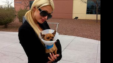 Paris Hilton com seu novo cachorrinho - Reprodução / Twitter