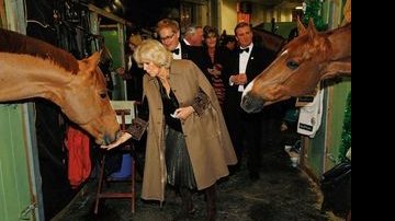 Camilla Parker Bowles e sua eterna paixão pelos cavalos - REUTERS