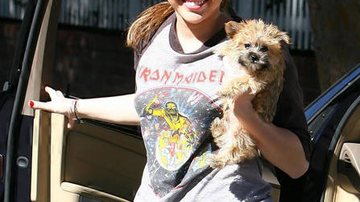Miley Cyrus e seu novo cãozinho - City Files